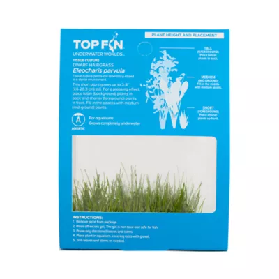 Product Top Fin® T.C. Dwarf Hairgrass Live Plant