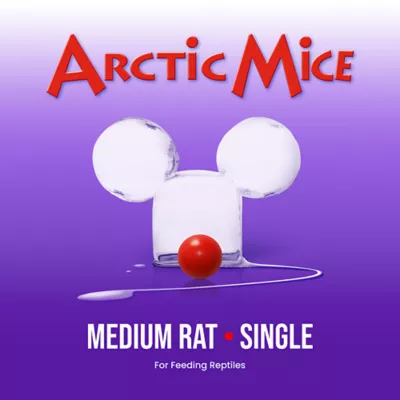 Product Arctic Mice Frozen Medium Rats