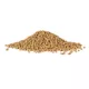 Product Aqueon® Shrimp Pellets Fish Food