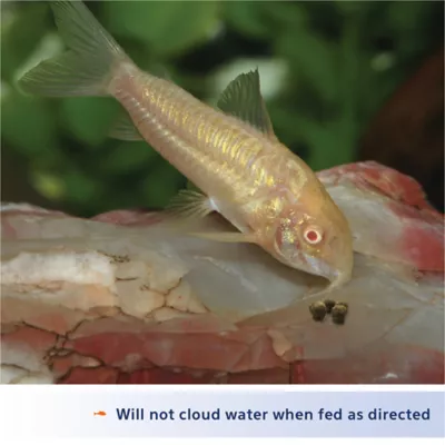 Product Aqueon® Shrimp Pellets Fish Food