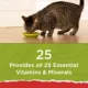 Product Purina® Cat Chow® Naturals All Life Stages Cat Dry Food - Chicken, Natural, No Artificial Flavors