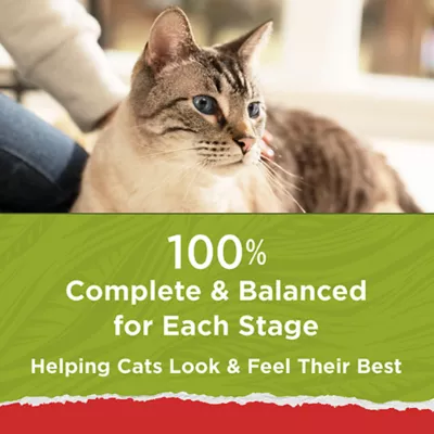 Product Purina® Cat Chow® Naturals All Life Stages Cat Dry Food - Chicken, Natural, No Artificial Flavors