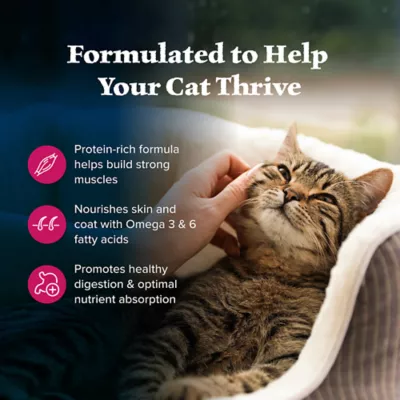 Product Blue Buffalo Wilderness Adult Dry Cat Food - Grain Free, Salmon