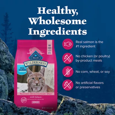 Product Blue Buffalo Wilderness Adult Dry Cat Food - Grain Free, Salmon