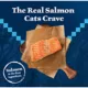 Product Blue Buffalo Wilderness Adult Dry Cat Food - Grain Free, Salmon