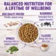Product Wellness® Complete Health Small Breed Puppy Dry Dog Food - Natural