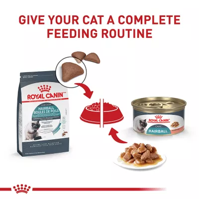 Product Royal Canin Feline Adult Dry Cat Food Care Nutrition, Hairball Care