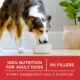 Product Purina ONE Microbiome Balance Dry Dog Food - Lamb & Rice Formula