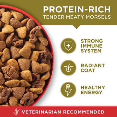 Product Purina ONE Microbiome Balance Dry Dog Food - Lamb & Rice Formula