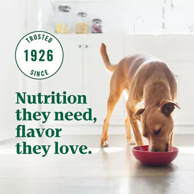 Product NUTRO ULTRA™ Adult Dry Dog Food - Chicken, Lamb, Salmon