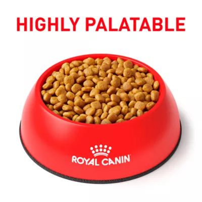 Product Royal Canin® Veterinary Diet Canine Urinary SO Adult Dry Dog Food