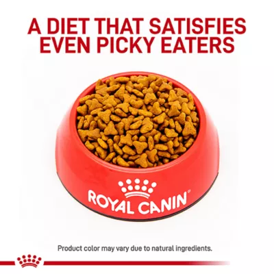 Product Royal Canin® Veterinary Diet Feline Gastrointestinal Fiber Response Adult Dry Cat Food
