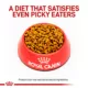 Product Royal Canin® Veterinary Diet Feline Gastrointestinal Fiber Response Adult Dry Cat Food