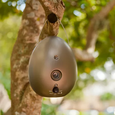 Product Sunbeam Ultrasonic Egg Dog Bark Control Device - up to 50 ft range