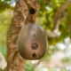 Product Sunbeam Ultrasonic Egg Dog Bark Control Device - up to 50 ft range