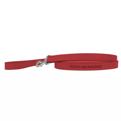 Product Coastal Pet Products Personalized Leather Dog Leash