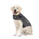 Product ThunderShirt® Insanely Calm™ Dog Anxiety Shirt