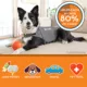 Product ThunderShirt® Insanely Calm™ Dog Anxiety Shirt
