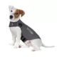 Product ThunderShirt® Insanely Calm™ Dog Anxiety Shirt