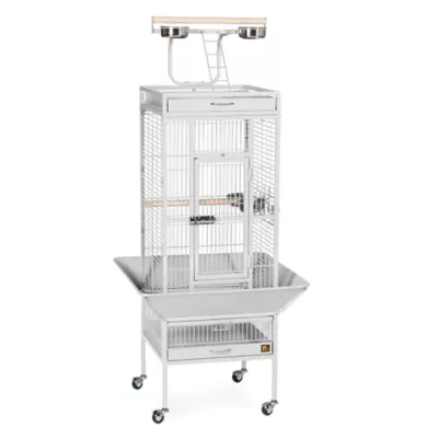 Product Prevue Pet Products Wrought Iron Select Bird Cage