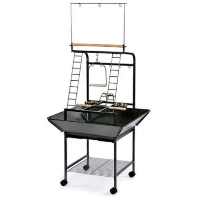 Product Prevue Pet Products Parrot Playstand