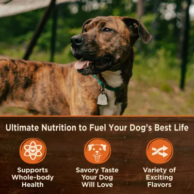 Product Wellness® CORE® All Life Stage Wet Dog Food - Natural, Grain Free