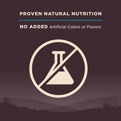Product Wellness® CORE® Adult Dry Dog Food - Natural, Grain Free, Ocean Formula