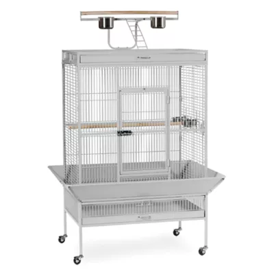 Product Prevue Pet Products Wrought Iron Select Bird Cage