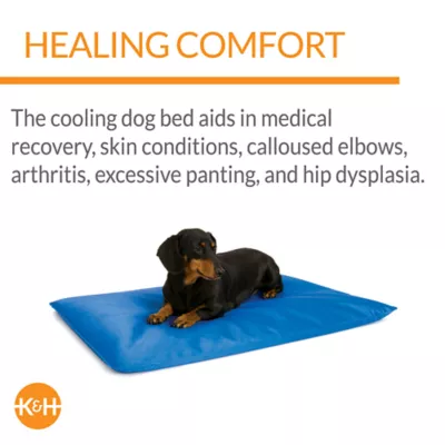 Product K&H Cool Bed III Dog Bed