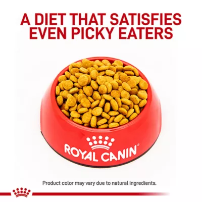 Product Royal Canin® Veterinary Diet Feline Satiety Support Adult Dry Cat Food
