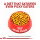 Product Royal Canin® Veterinary Diet Feline Satiety Support Adult Dry Cat Food