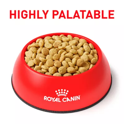 Product Royal Canin® Veterinary Diet Feline Satiety Support Adult Dry Cat Food