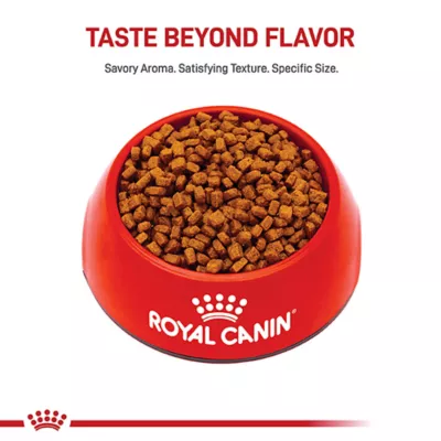 Product Royal Canin Puppy Dry Dog Food - Chihuahua Breed Health Nutrition , 2.5 lb