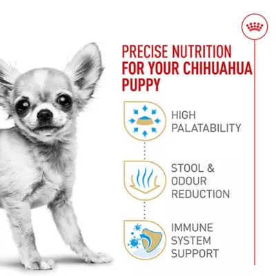Product Royal Canin Puppy Dry Dog Food - Chihuahua Breed Health Nutrition , 2.5 lb