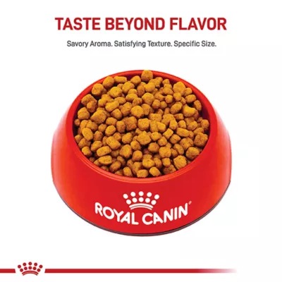 Product Royal Canin Adult Dry Dog Food - Chihuahua Breed Health Nutrition