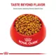 Product Royal Canin Adult Dry Dog Food - Chihuahua Breed Health Nutrition