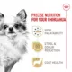 Product Royal Canin Adult Dry Dog Food - Chihuahua Breed Health Nutrition