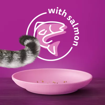 Product Whiskas Adult Dry Cat Food Seafood Selections - Salmon & Shrimp, High Protein