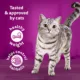 Product Whiskas Adult Dry Cat Food For Indoor Cats - With Real Chicken
