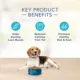Product Blue Buffalo® Basics™ Skin & Stomach Care Healthy Weight Adult Dry Dog Food - Turkey & Potato