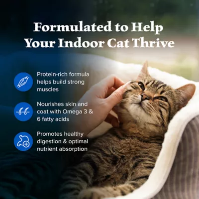 Product Blue Buffalo Wilderness Indoor Adult Dry Cat Food - Grain Free, Chicken