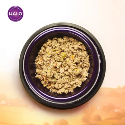 Product Halo Healthy Grains Adult Wet Dog Food - Beef Recipe in Broth, 13.2 oz