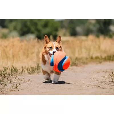 Product Chuckit!® Kick Fetch™ Ball Dog Toy
