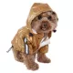 Product Pet Life Reflecta-Sport Dog Windbreaker Raincoat