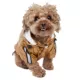 Product Pet Life Reflecta-Sport Dog Windbreaker Raincoat