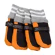 Product Pet Life  Performance Adjustable PAWTECTORS