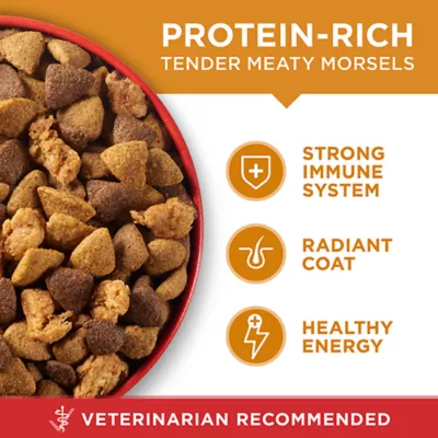 Product Purina ONE Microbiome Balance Dry Dog Food - Chicken & Rice Formula