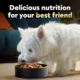 Product Cesar® Classics Adult Wet Dog Food - Loaf & Topper, 3.5 Oz.