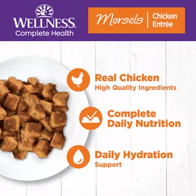 Product Wellness® Complete Health Adult Cat Wet Food - Natural, Grain Free, Morsels, 3 Oz