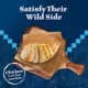 Product Blue Buffalo Wilderness All Life Stages Treat Cat Treats - Grain Free, Chicken Salmon